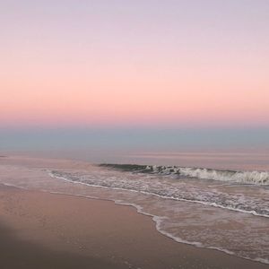 Meet your Posher, Wesley